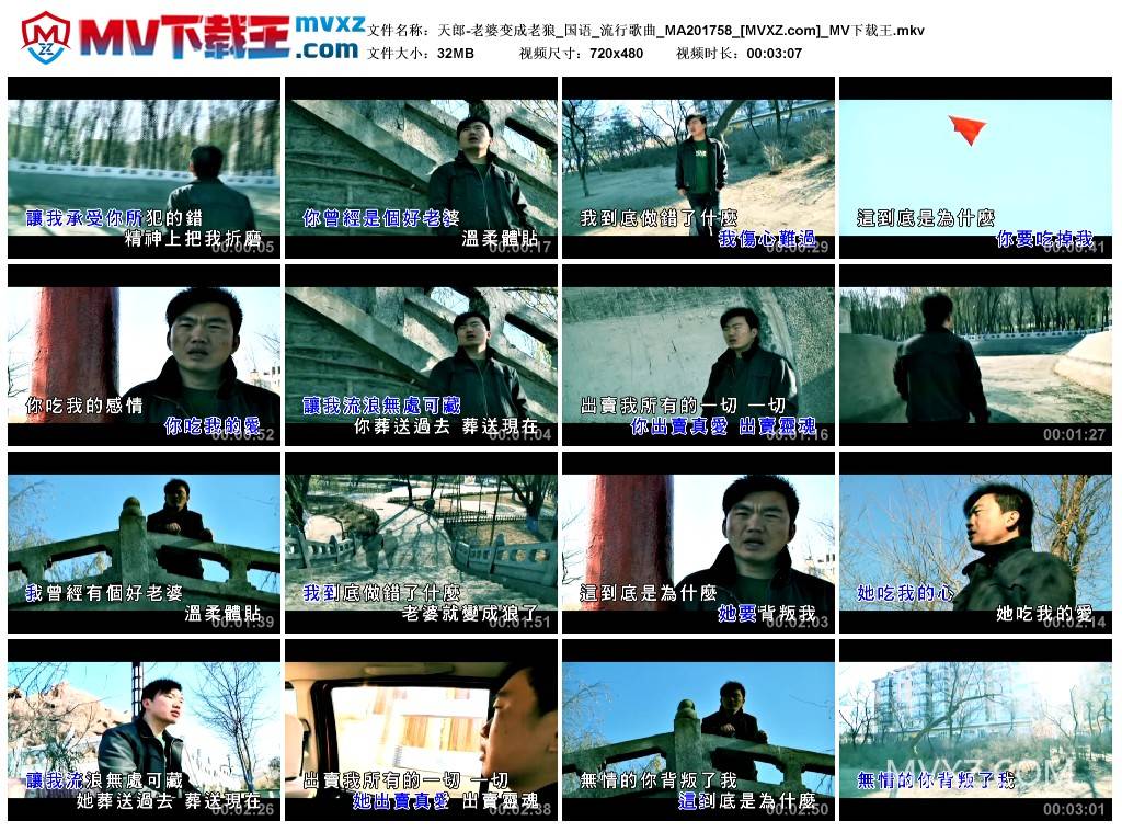 天郎-老婆变成老狼_国语_流行歌曲_MA201758